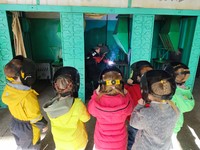 Дошкольники знакомились с профессиями