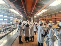 ДЕНЬ БЕЗ ТУРНИКЕТОВ